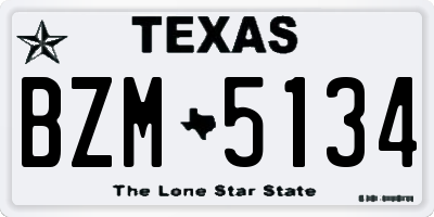 TX license plate BZM5134