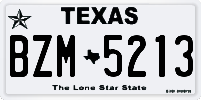 TX license plate BZM5213