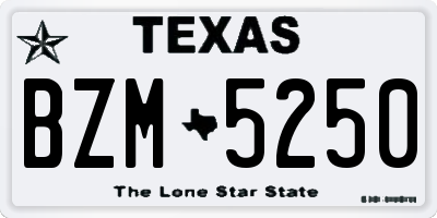 TX license plate BZM5250