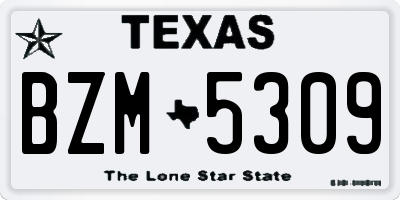 TX license plate BZM5309
