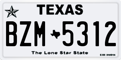 TX license plate BZM5312