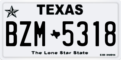 TX license plate BZM5318