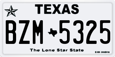 TX license plate BZM5325