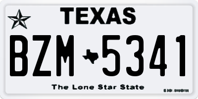 TX license plate BZM5341