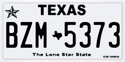 TX license plate BZM5373