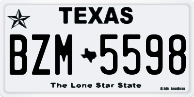 TX license plate BZM5598
