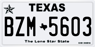 TX license plate BZM5603
