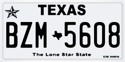 TX license plate BZM5608