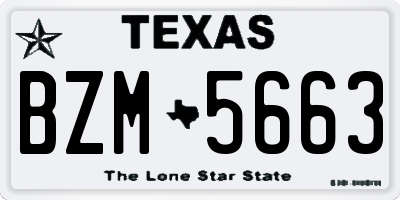 TX license plate BZM5663