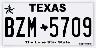 TX license plate BZM5709