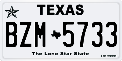 TX license plate BZM5733