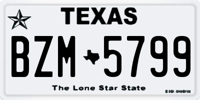 TX license plate BZM5799