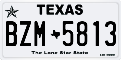 TX license plate BZM5813