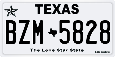 TX license plate BZM5828