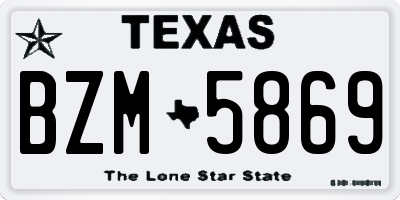 TX license plate BZM5869