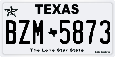 TX license plate BZM5873