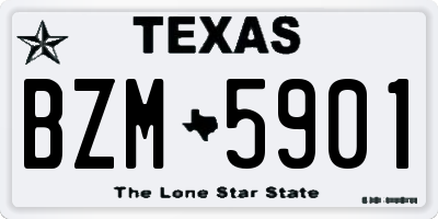 TX license plate BZM5901