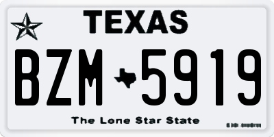 TX license plate BZM5919