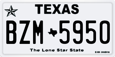 TX license plate BZM5950