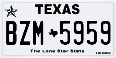 TX license plate BZM5959