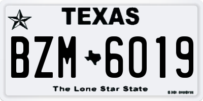TX license plate BZM6019