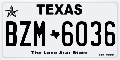 TX license plate BZM6036