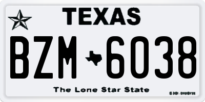 TX license plate BZM6038