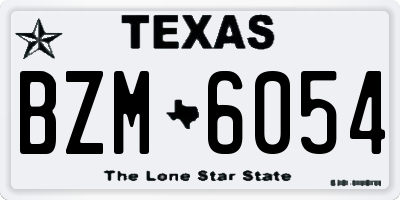 TX license plate BZM6054