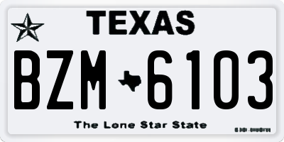 TX license plate BZM6103
