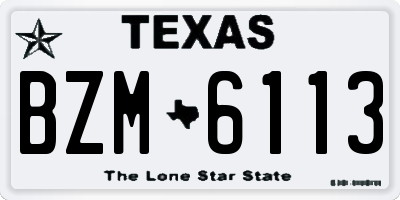 TX license plate BZM6113