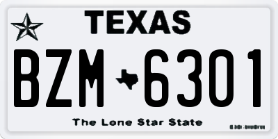 TX license plate BZM6301