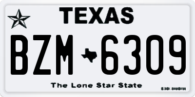 TX license plate BZM6309