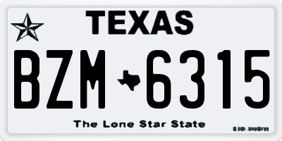 TX license plate BZM6315