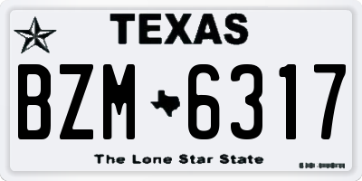 TX license plate BZM6317