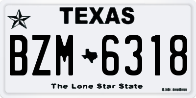 TX license plate BZM6318