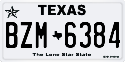TX license plate BZM6384