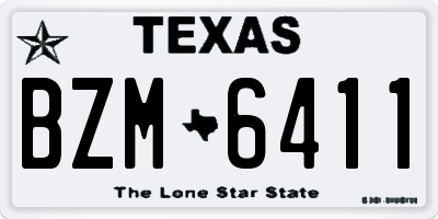 TX license plate BZM6411