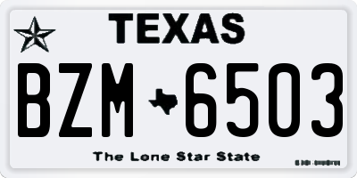 TX license plate BZM6503