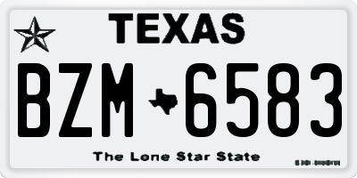 TX license plate BZM6583