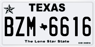 TX license plate BZM6616