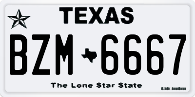 TX license plate BZM6667