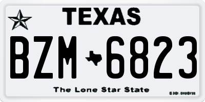 TX license plate BZM6823