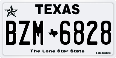 TX license plate BZM6828
