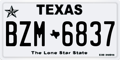 TX license plate BZM6837