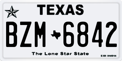 TX license plate BZM6842