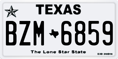 TX license plate BZM6859