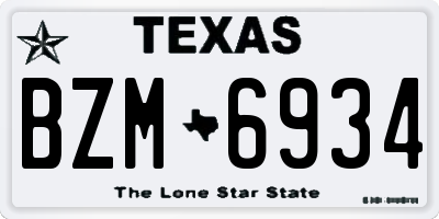 TX license plate BZM6934