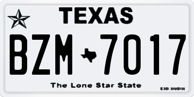 TX license plate BZM7017