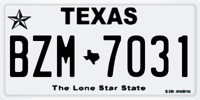 TX license plate BZM7031
