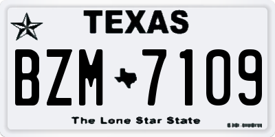 TX license plate BZM7109